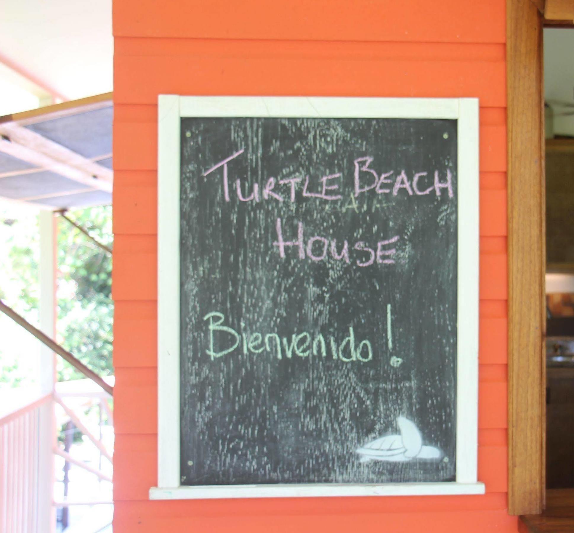 Turtle Beach House Бокас Екстер'єр фото