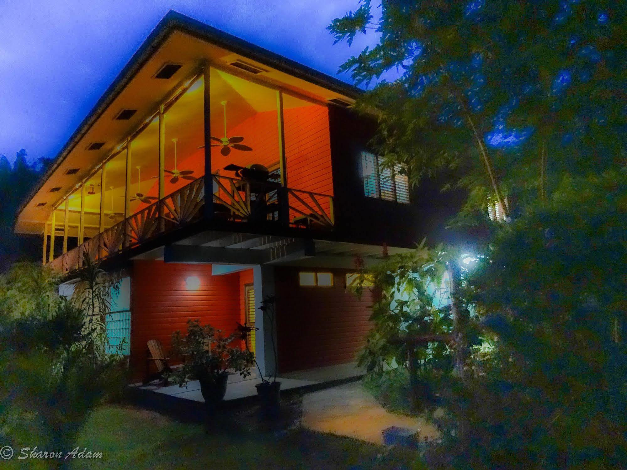 Turtle Beach House Бокас Екстер'єр фото